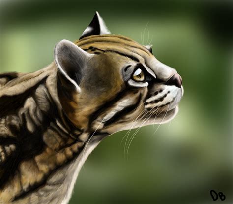 Ocelot By Pineappleshavefeet On Deviantart