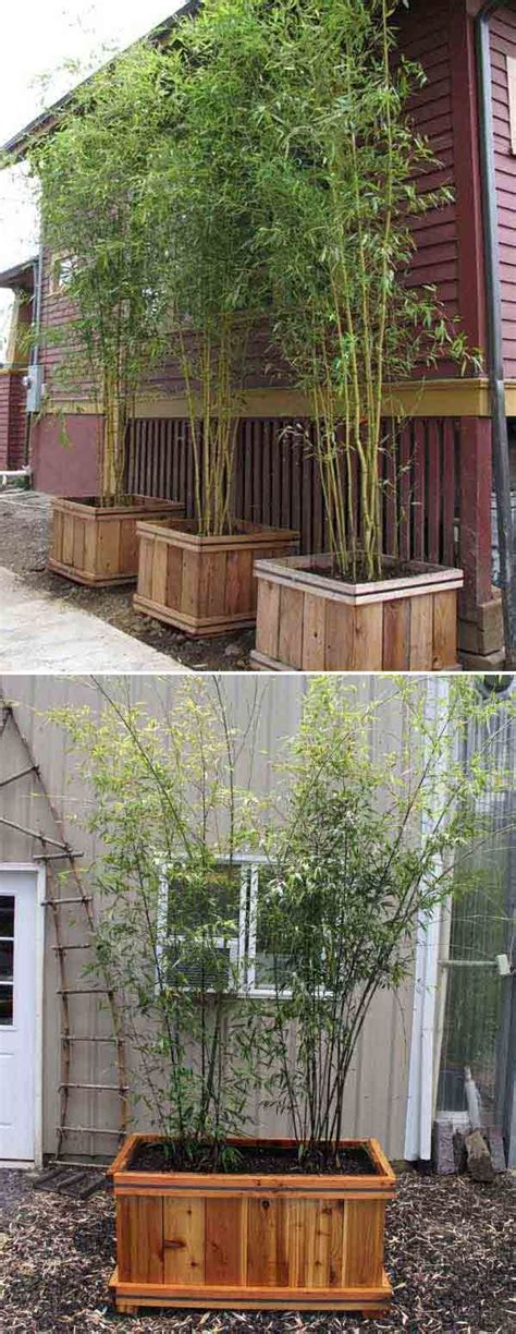 10 tips to build your own bamboo fencing in my bamboo fence building guide, includes recommended fencing books and fence care tips. Do it yourself ideas and projects: 21 Easy and Attractive DIY Projects Using Bamboo | Bamboo ...