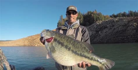 Video Released See The World Record Bass Caught