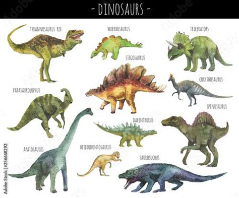 Watercolor Set Of Hand Drawn Realistic Dinosaurus Realistic Dino Rex