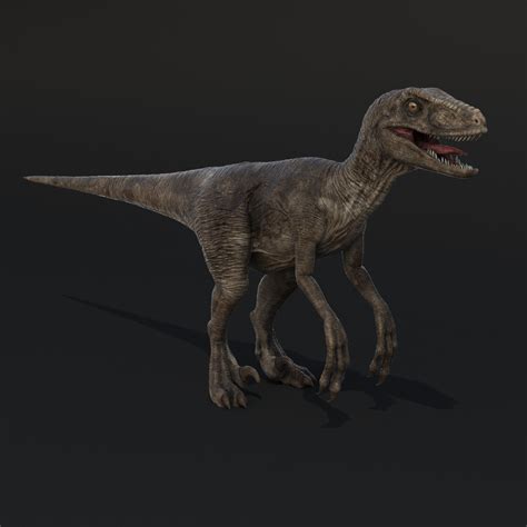 Max Realistic Velociraptor Raptor