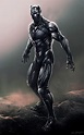 Image - Black Panther Concept Art 1.jpg | Marvel Cinematic Universe ...