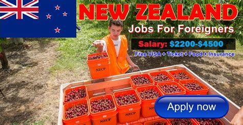 More than 37700 current vacancies from 1740 sites available to you. New Zealand Jobs for Foreigners | Latest Job Vacancies 2017