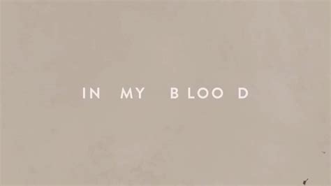 Shawn Mendes In My Blood Lyrics Genius Lyrics