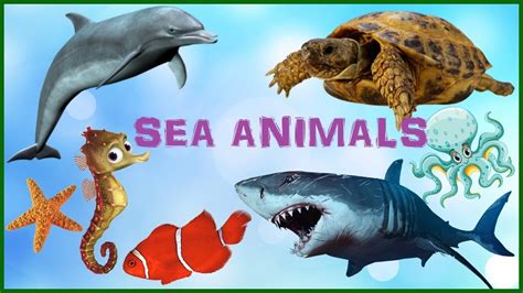 Sea Animals Learn For Kids 🐬 Water Animals Names And Sounds For