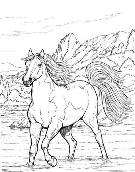 Horse Coloring Pages For Adults Horse Coloring Pages Horse Coloring