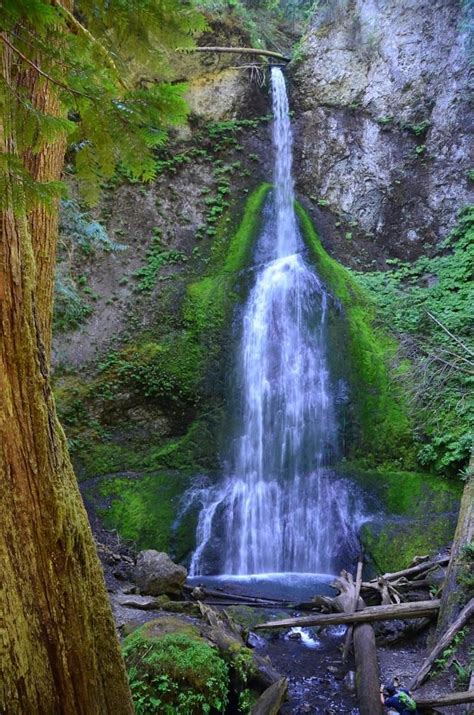 The 20 Best Olympic National Park Hikes Go Wander Wild In 2022