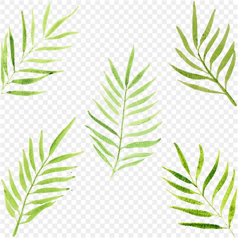 Watercolor Palm Leaves Background