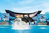 Images of San Diego And Seaworld Packages