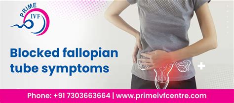 Blocked Fallopian Tube Symptoms Causes Diagnosis And Treatment Options