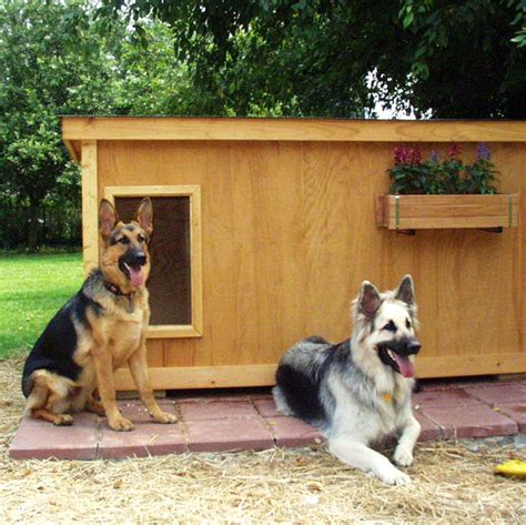 Check spelling or type a new query. How to Choose the Right German Shepherd Dog House? - US Bones