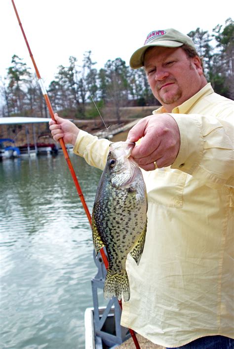 Best Crappie Bait For Lakes