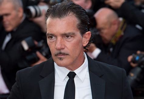 Banderas' success as an actor in america came with his role in. Antonio Banderas - Biography, Wife, Daughter, Age, Height ...