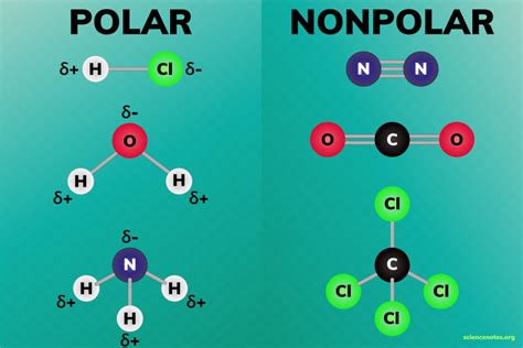 Polar And Nonpolar Molecules