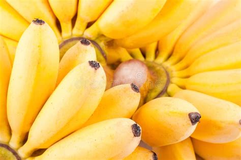 Hand Of Bananas On White Background Healthy Pisang Mas Banana Fruit
