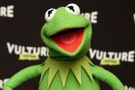 10 Kermit The Frog Best Memes Fwdmy