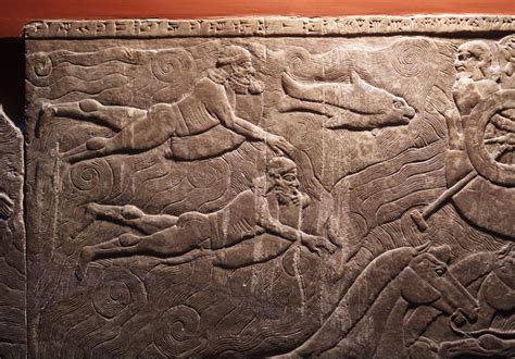 Swimming Ancient Assyria