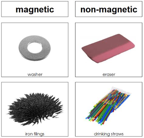 Magnetic Or Non Magnetic Montessori Science Science Lessons