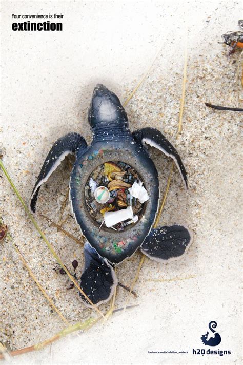 Stunning Images Expose The Horrific Impact Of Plastic