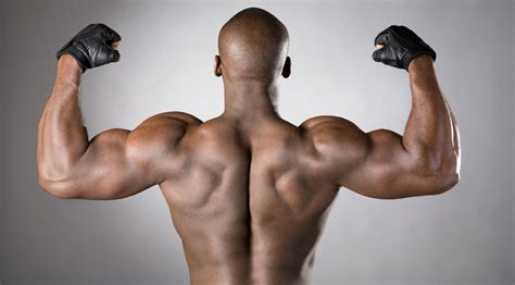 Muscles Muscle Big Muscles Bodybuilding Gambaran