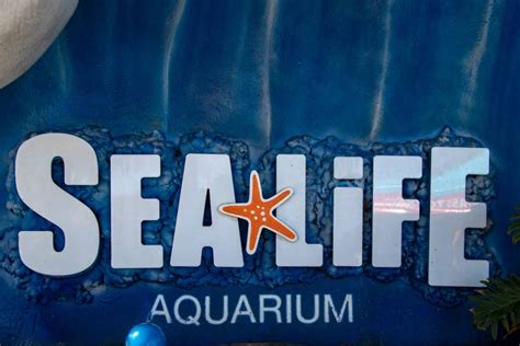 Billet Pour Legoland California Sea Life Aquarium De San Diego