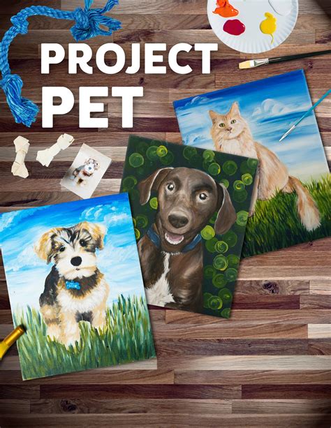Project Pet Sat May 19 2pm At Chesterfield