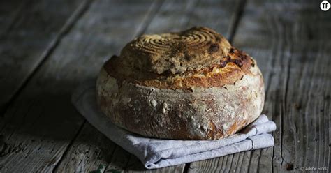 Voyez nos secrets pour obtenir le pain parfait. Pain maison : pourquoi faire son pain est devenu si tendance - Terrafemina