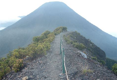 Jalur Pendakian Gunung Gede Pangrango Via Selabintana Pengetahuan