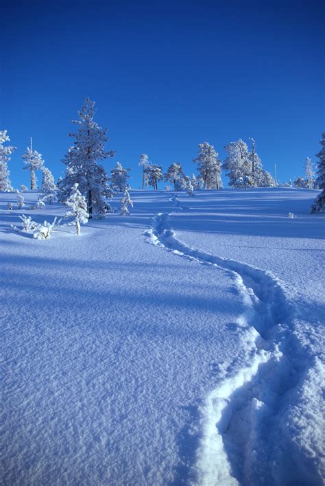 Fileupwards Snow Path Wikimedia Commons