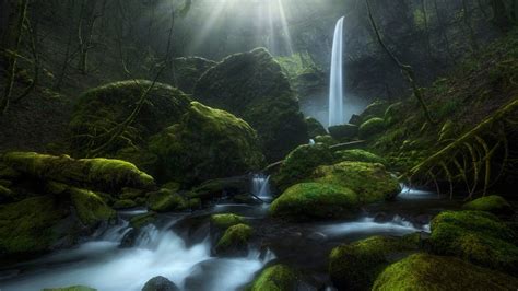 Stream Waterfall Greenery Moss Oregon Hd Nature Wallpapers Hd