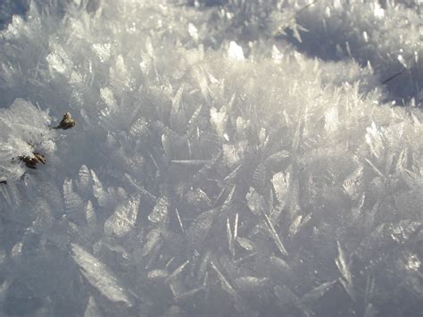 Fotos Gratis Naturaleza Al Aire Libre Rama Frío Invierno Nube