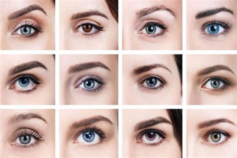 Eye Color Guide Everything You Need To Know