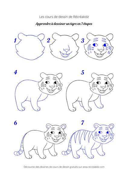 Comment dessiner un tigre Dessin tigre facile par étapes