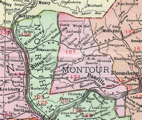 Montour County Pennsylvania 1911 Map By Rand Mcnally Danville Pa