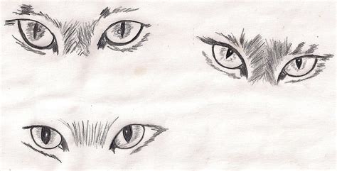 How Do You Draw A Cat Eye