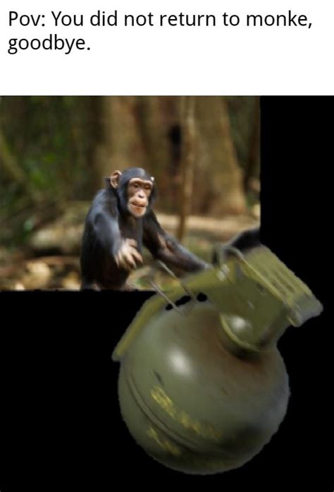 Return To Monke Before Its Too Late Rmemes