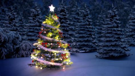 What Is The Origin Of The Christmas Tree Mental Floss