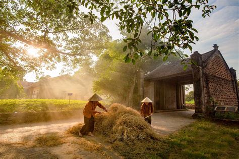 Ảnh Làng Quê Việt Nam Đẹp Bình Yên Gần Gũi Nhất