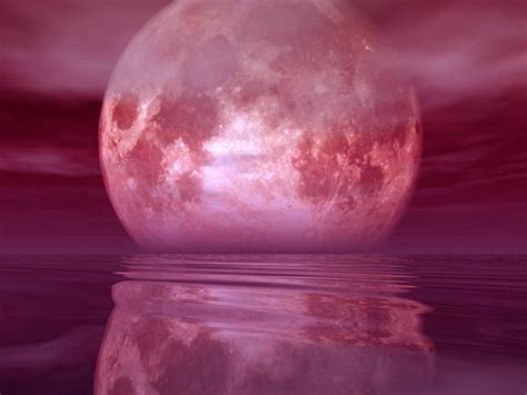 Pink Moon Wallpapers Top Free Pink Moon Backgrounds Wallpaperaccess