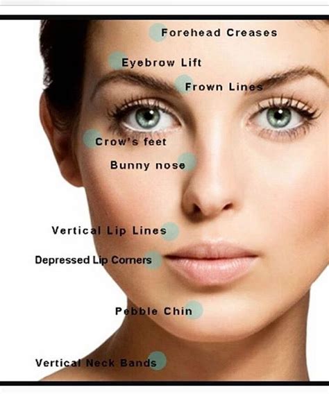 Botox Injection Sites Botox Injections Facial Fillers Botox Fillers