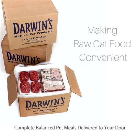 Raw diet bulk batch making. Darwin's Natural Pet Products - Delivering Raw Pet Food ...