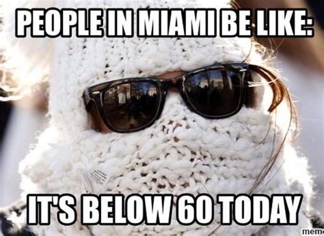 Florida Cold Weather Meme
