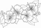 Coloring Hawaiian Flower Flowers Lei Drawing Jasmine Hibiscus Printable Getdrawings Leaves Blank Getcolorings Sheets Colorings sketch template