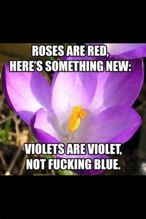 Don't you remember the roses are red (violets are blue) tune? This is my response when someone does a roses are red poem ...