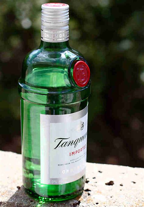 The Absolute Best Cheap Gins For Your Money Thrillist