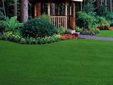 Zoysia Grass Lawn Care Pictures
