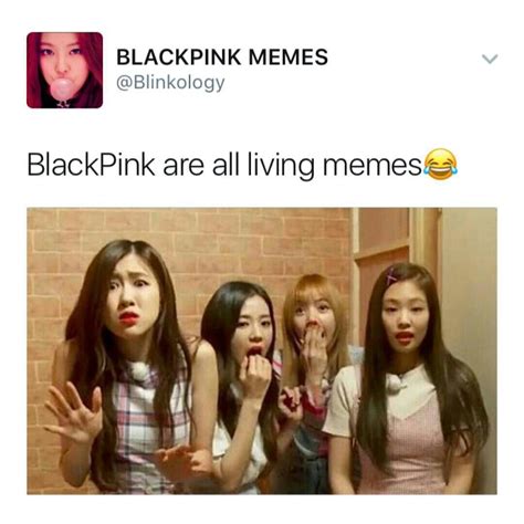 The album includes all 9 japanese versions of blackpink's hit songs since debut. Blackpink in your area | Blackpink memes, Blackpink funny ...