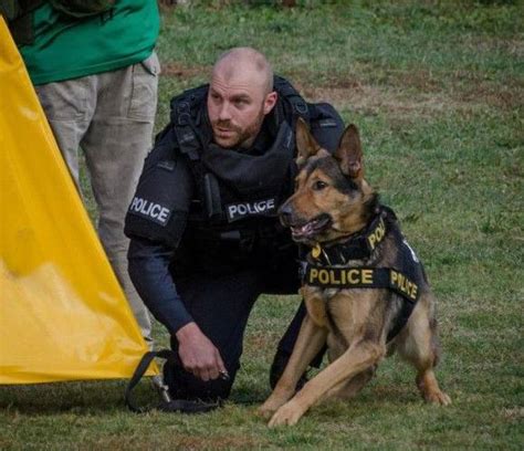 La Crosse Police Canine To Undergo Surgery