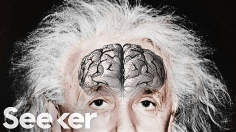 Einsteins Brain Was Stolen And Chopped Up Into Tiny Piecesfor