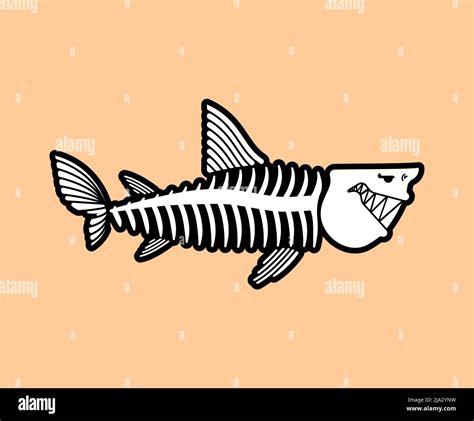 Shark Skeleton Isolated Shark Skull Vector Illustration Stock Vector